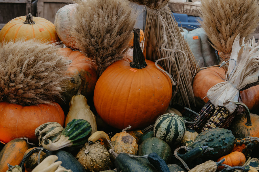 Our Top 10 | Autumn Decor Must-Haves